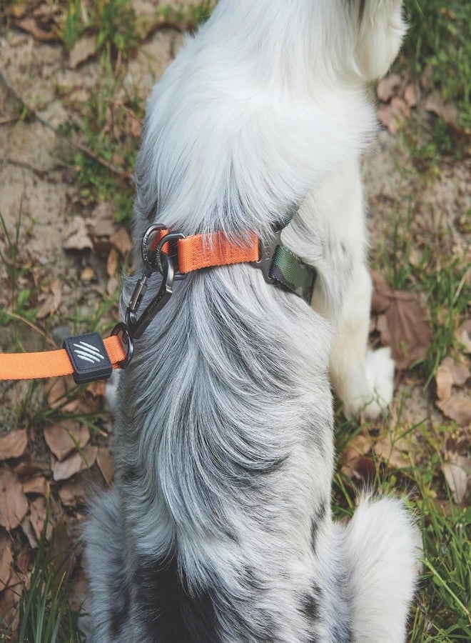 M-PETS Wild Jungle Harness for Small Dogs, Adjustable, Comfortable & Durable Harness with Lockable Buckle & Back Clip, Easy to Clean, For Walking, Training & Outdoor Activities, Small - Image 5